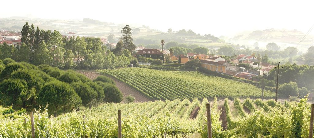 Quinta de Sant’Ana do Gradil