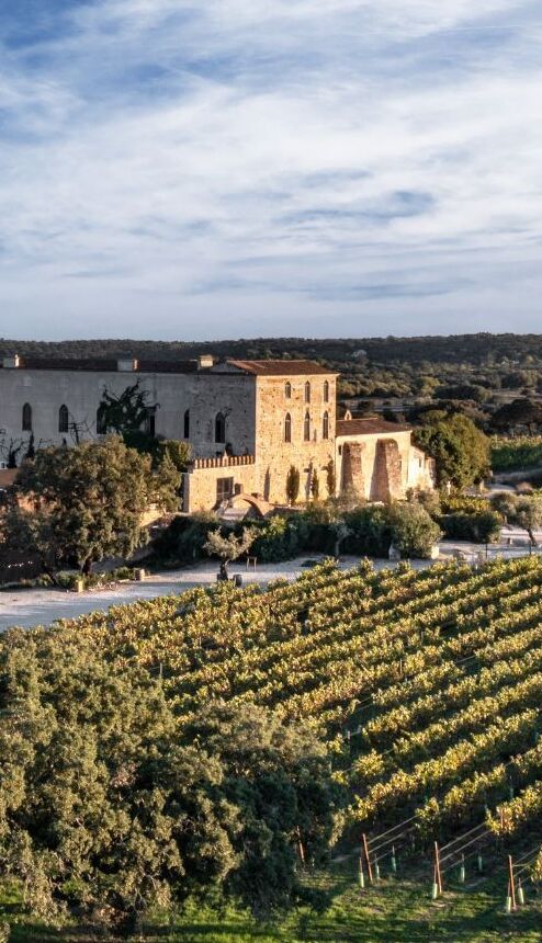 Paço do Morgado de Oliveira – Adega Fitapreta